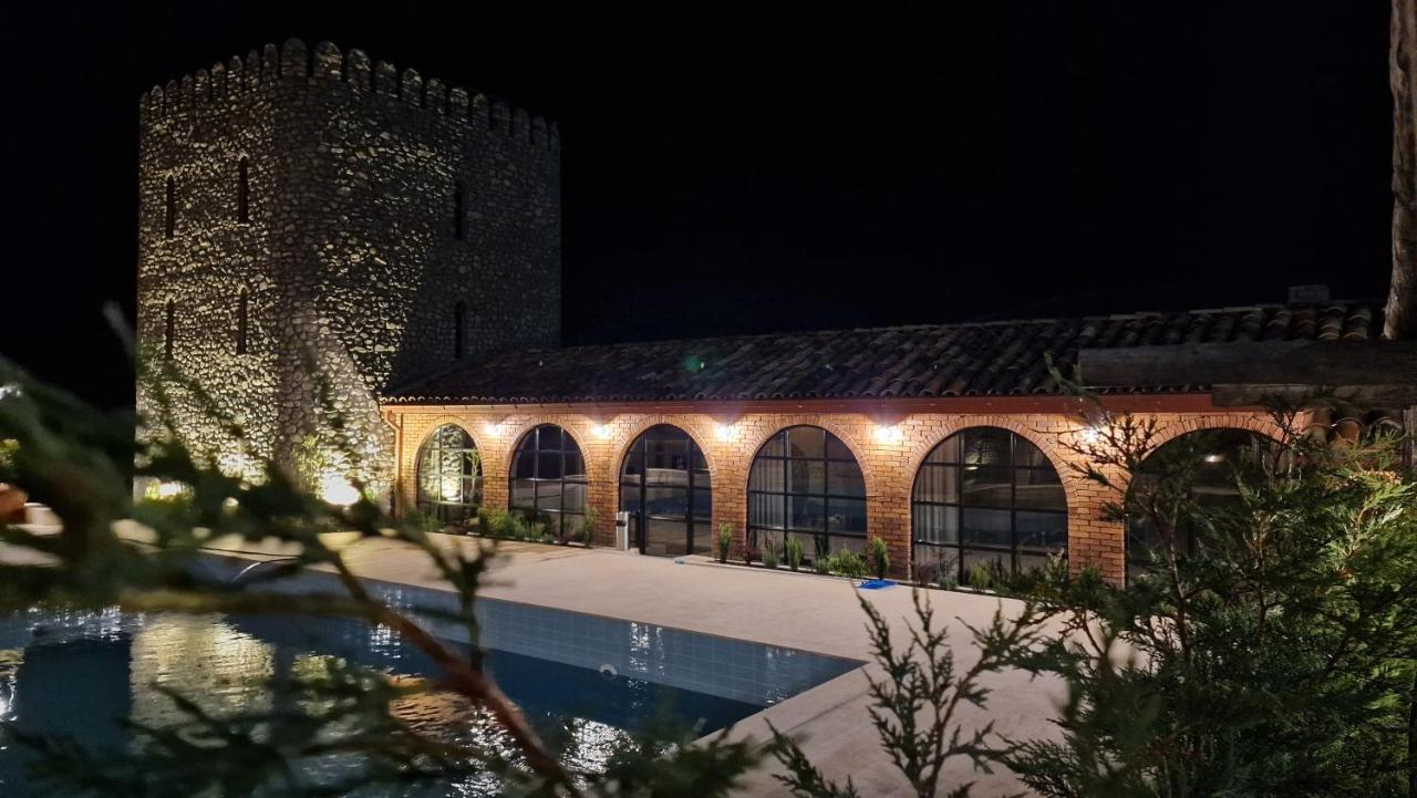 Giorgi Ushikishvilis Chateau-Marani Akhmeta Exterior foto