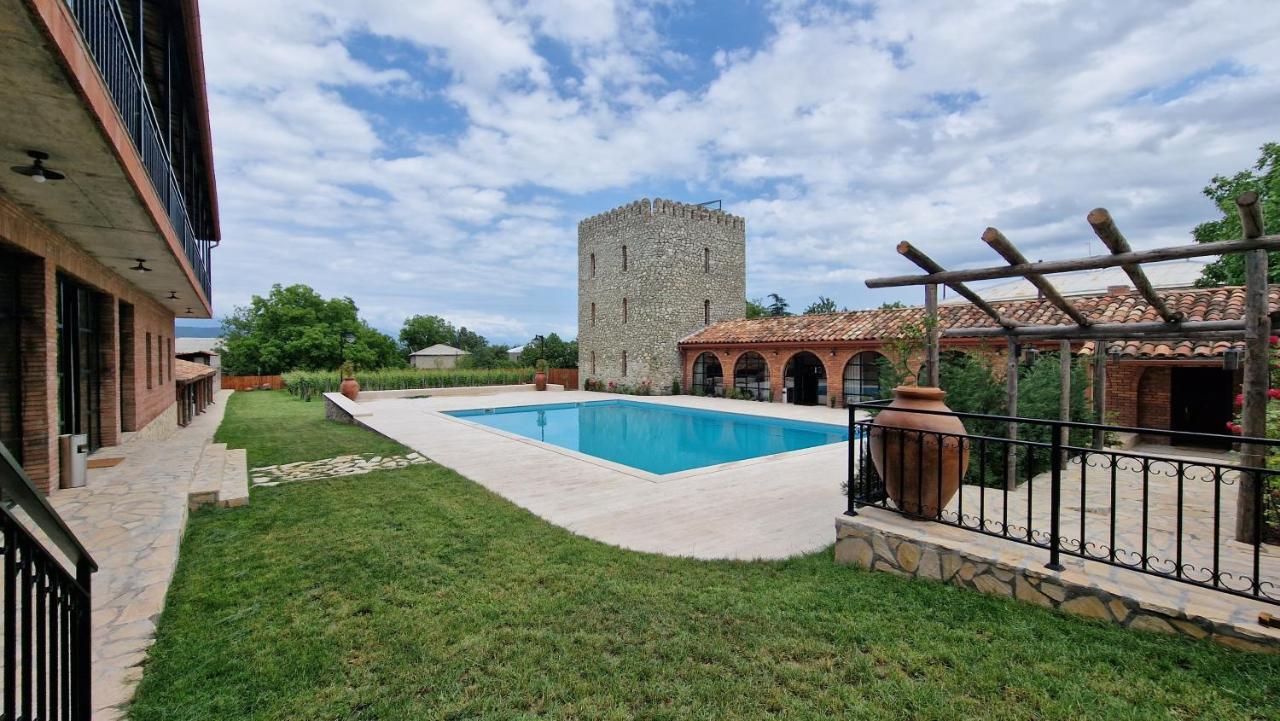 Giorgi Ushikishvilis Chateau-Marani Akhmeta Exterior foto