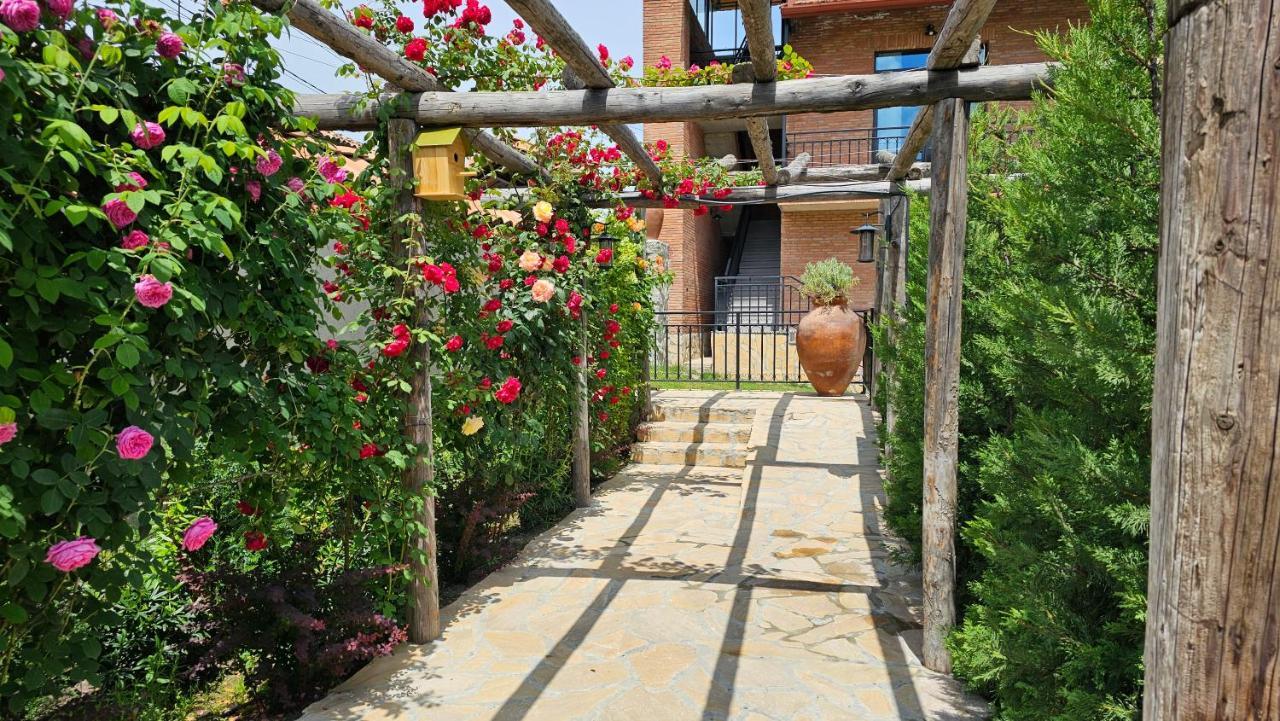 Giorgi Ushikishvilis Chateau-Marani Akhmeta Exterior foto